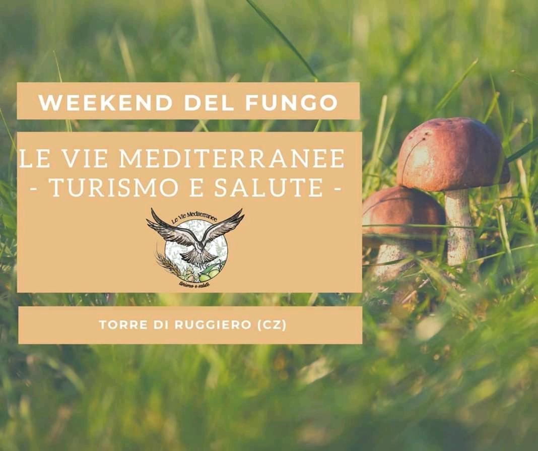 Le Vie Mediterranee Torre di Ruggiero Esterno foto